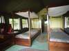 Rufiji River Camp - Interior Tent 